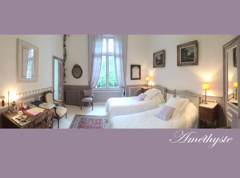 Chateau De La Haye Bed and Breakfast Contigné Εξωτερικό φωτογραφία